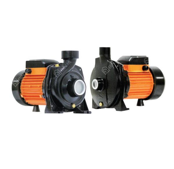 RR 2HP Water Pump Centrifugal RRCP-2.0S-22