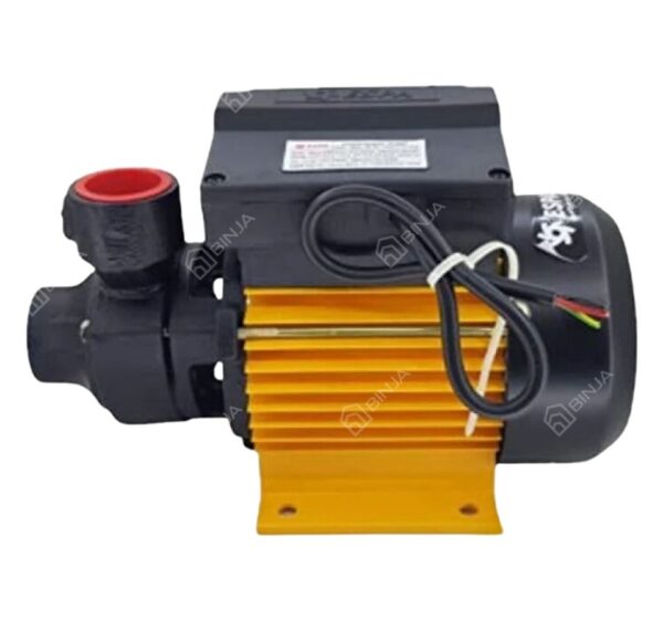 ESPA 0.5HP Sigma 50M Peripheral Water Pump