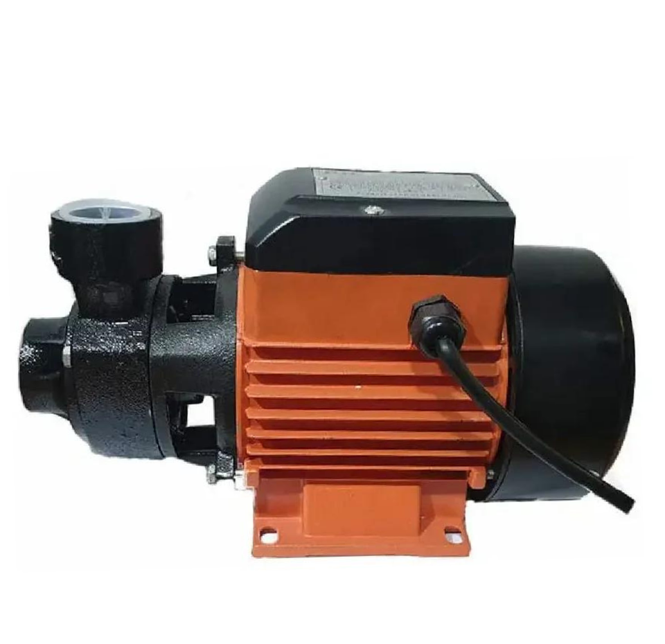 RR 0.5 HP Water pump RRP 0.5S-11