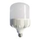 SPEEDO 45W 4500 Lumens Led Pillar Bulb