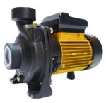 Vespa 1HP MAP100 Centrifugal Water Pump