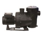 Victoria Plus 1HP Silent Pump Single Phase Astral 65562 (2)