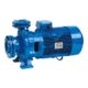 Speroni CS50-200A Monoblock Pump