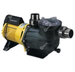 Davey Pool Pump 4503 Power Master